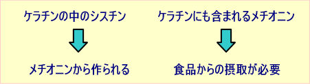 �P���`���̒��̃V�X�`��