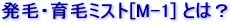 ���сE��у~�X�g[M-1] �Ƃ́H