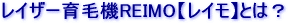 ���C�U�[��ы@REIMO�y���C���z�Ƃ́H